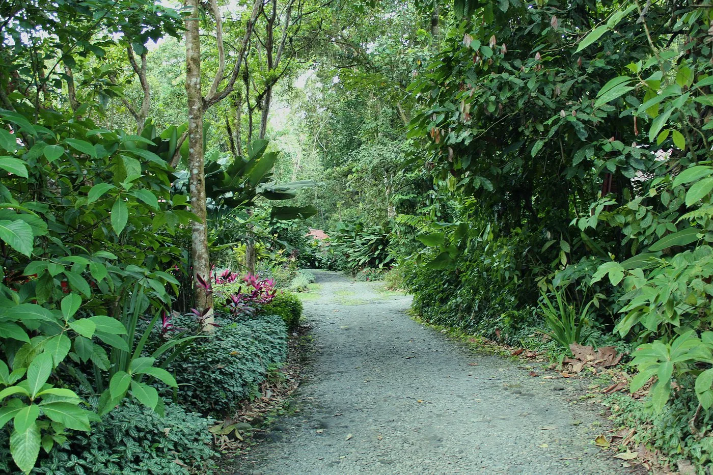 Arenal Oasis Eco Lodge & Wildlife Refuge, La Fortuna