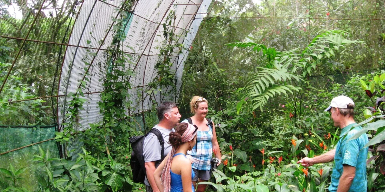 The Butterfly Conservatory, La Fortuna