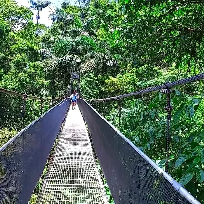 Canoa Aventura, La Fortuna