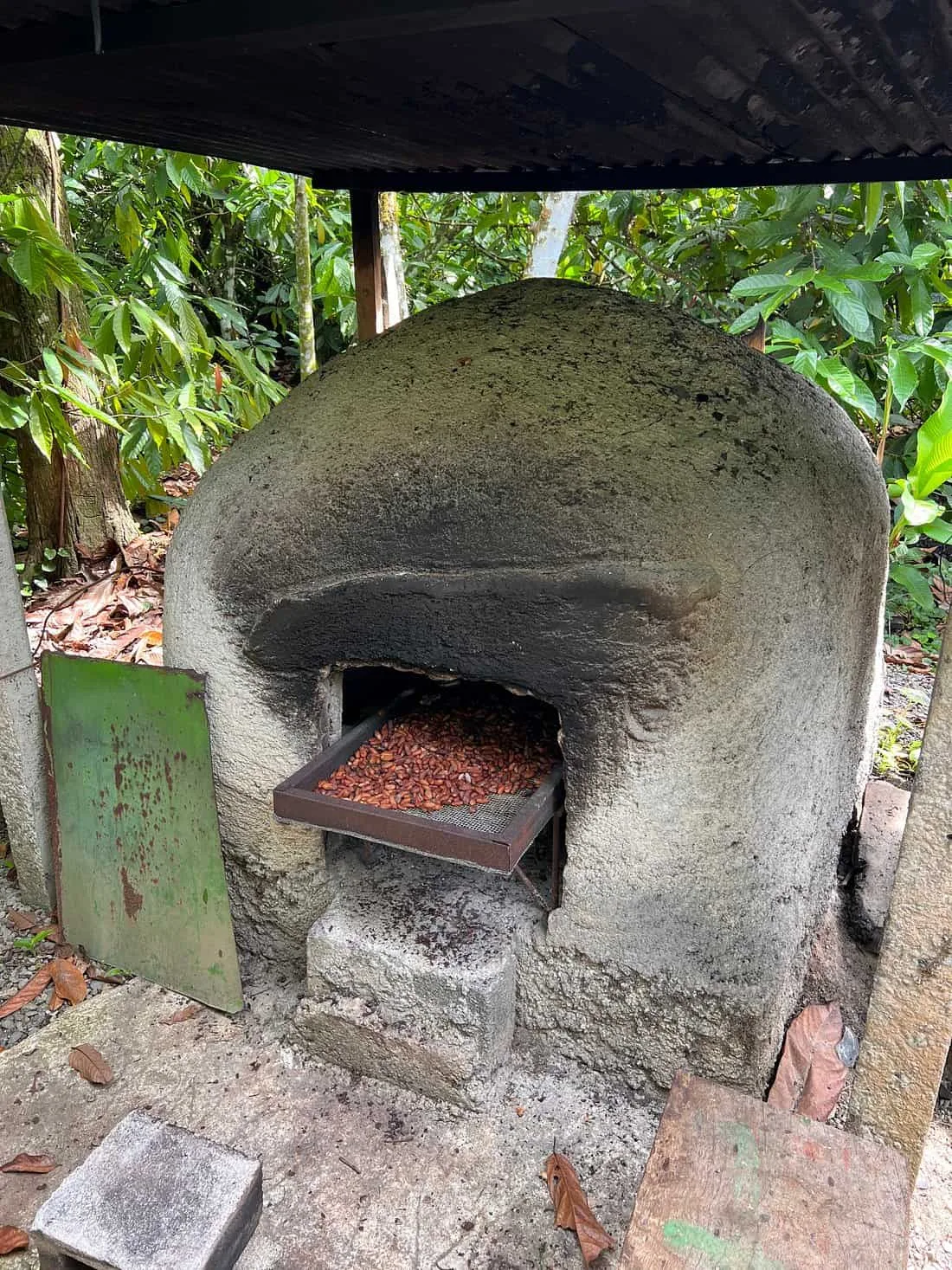 Don Olivo Chocolate Tour, La Fortuna