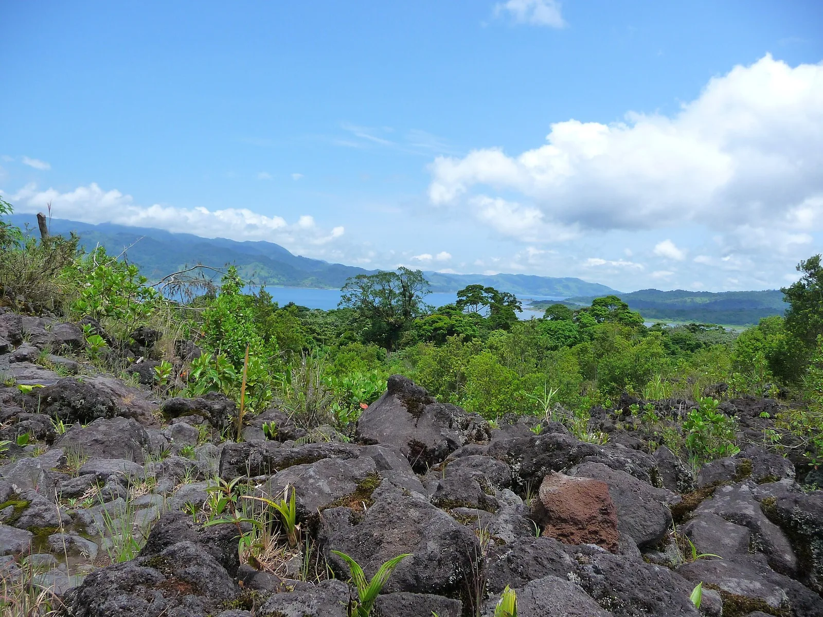 Parque Nacional Volcán Arenal, La Fortuna