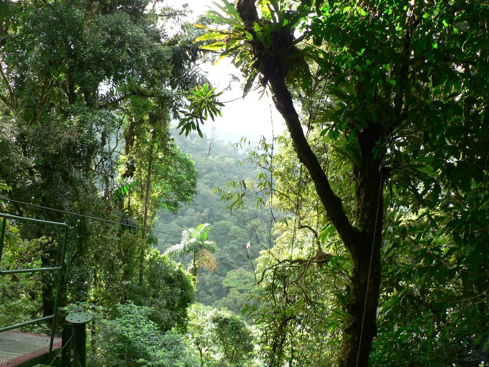 Parque Nacional Volcán Arenal, La Fortuna